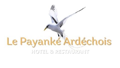 Le-Payanke-Logo
